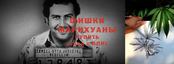хмурый Лиски