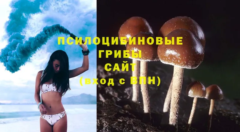 Псилоцибиновые грибы Magic Shrooms  Железногорск-Илимский 