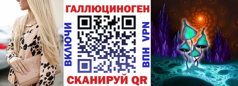 kraken tor Железногорск-Илимский Псилоцибиновые грибы GOLDEN TEACHER